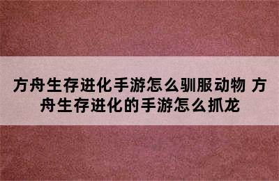 方舟生存进化手游怎么驯服动物 方舟生存进化的手游怎么抓龙